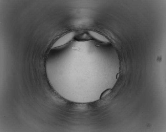 X0000092310377200710121503