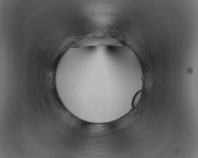 X0000092310378200710121503