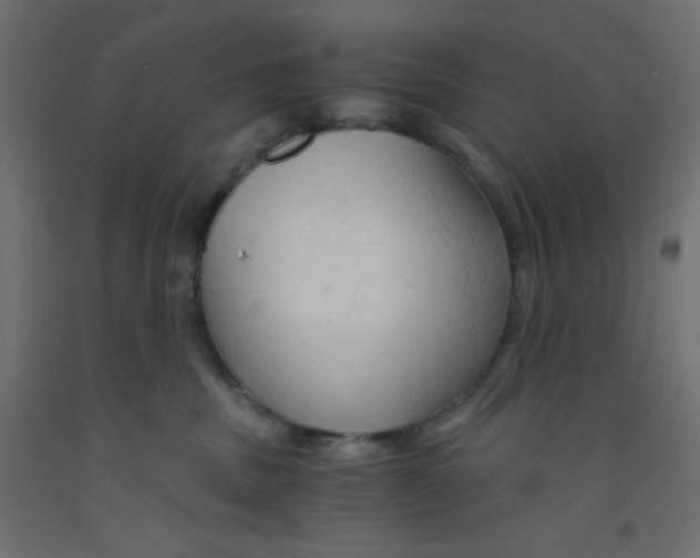 X0000092310379200710121503