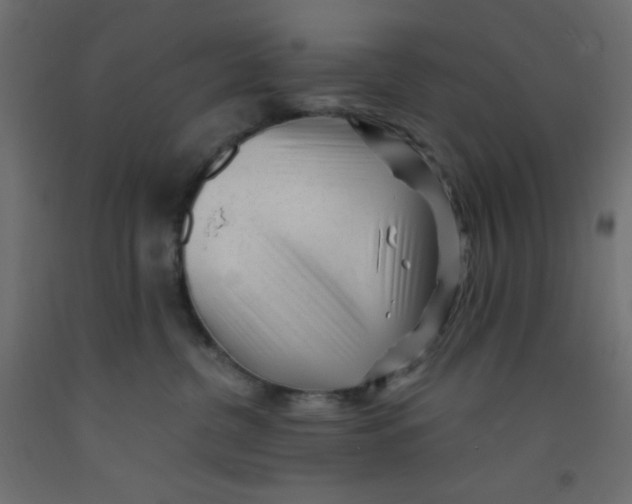 X0000092310380200710121503