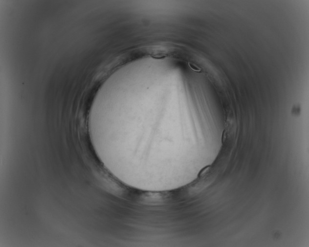 X0000092310381200710121503