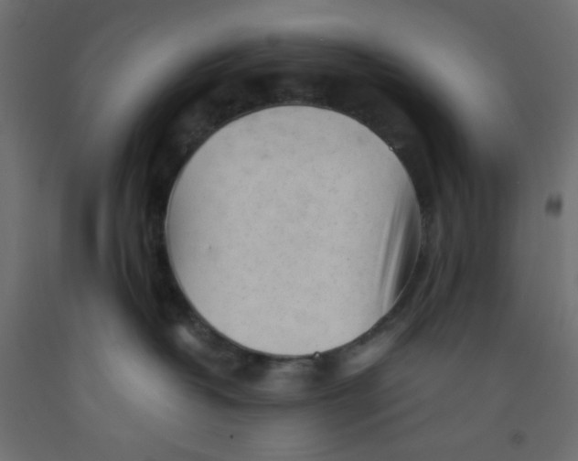 X0000092310382200710121503