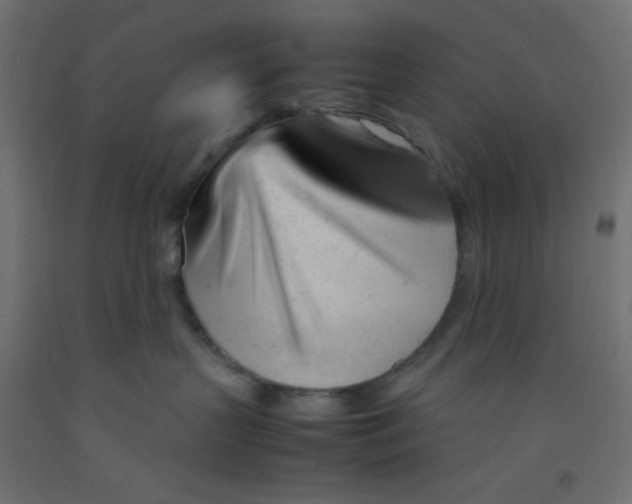 X0000092310383200710121503