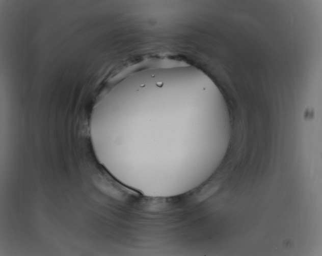 X0000092310384200710121503