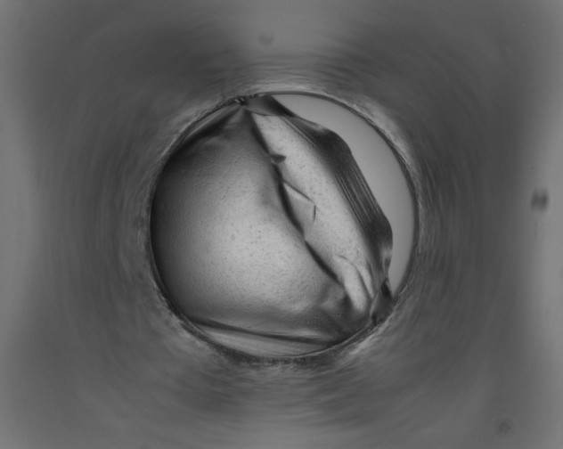 X0000092310385200710121502