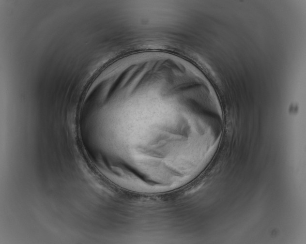 X0000092310386200710121502