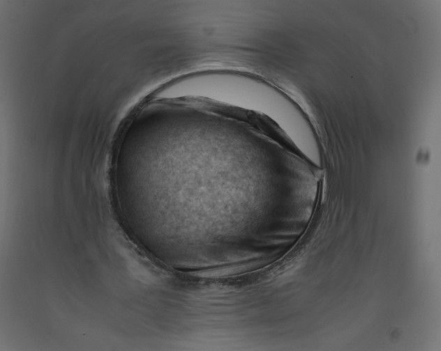 X0000092310387200710121502