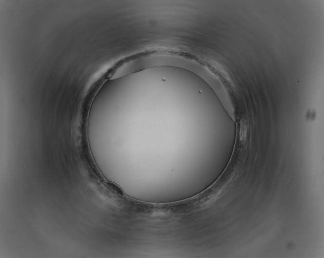 X0000092310388200710121502