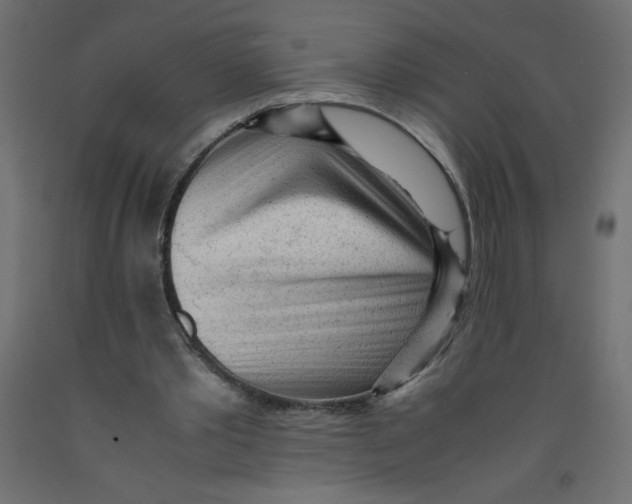 X0000092310389200710121502
