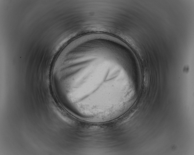 X0000092310390200710121502