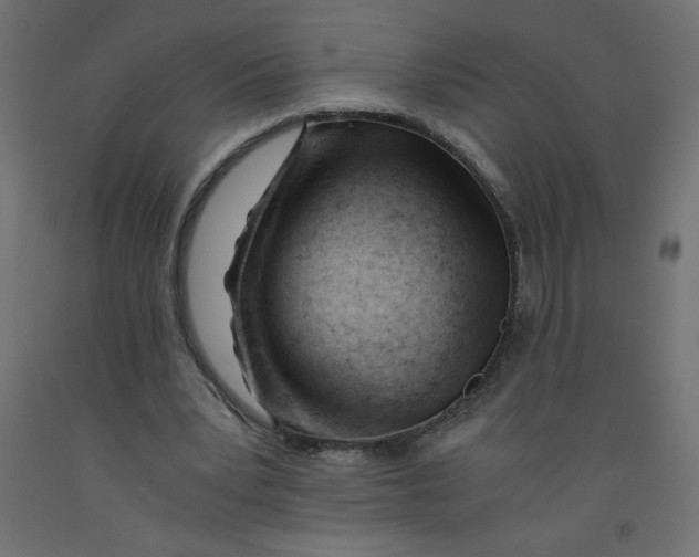 X0000092310391200710121502