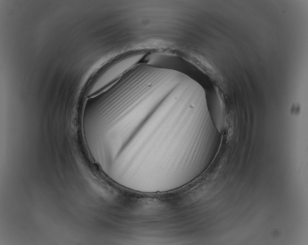 X0000092310392200710121502