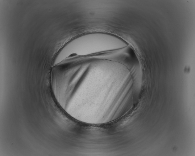 X0000092310393200710121502