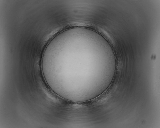 X0000092310394200710121502