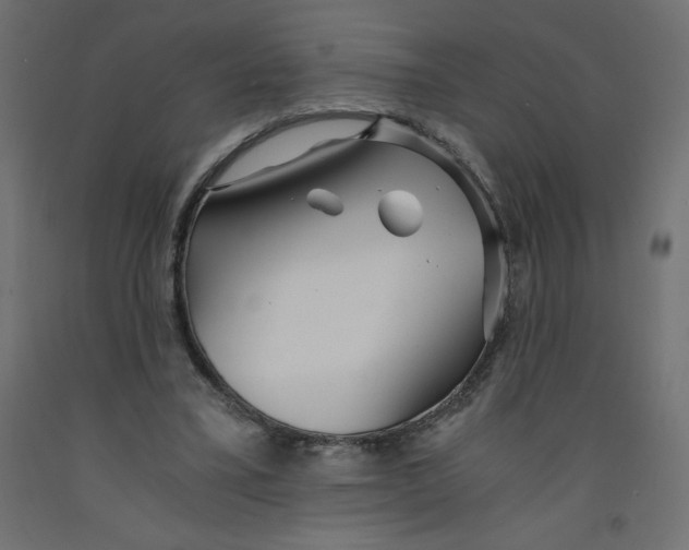 X0000092310395200710121502