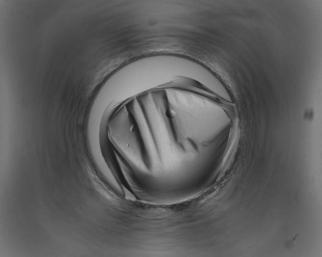 X0000092310397200710121502