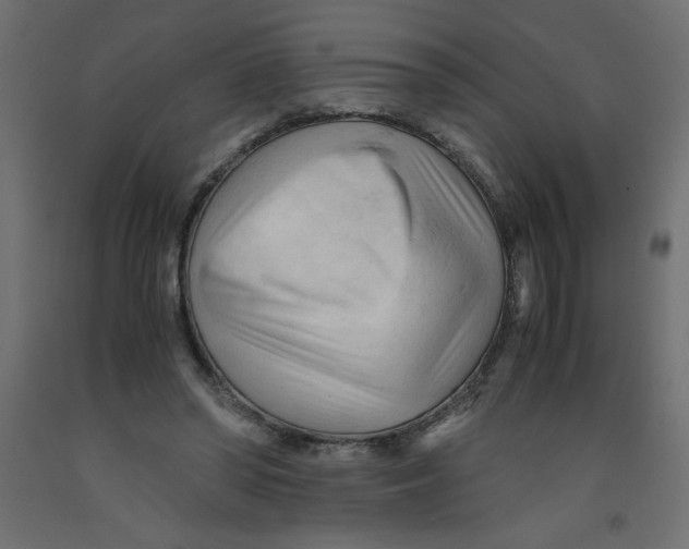 X0000092310398200710121502