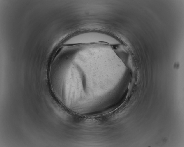 X0000092310399200710121502