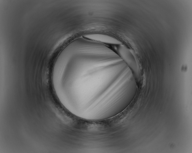 X0000092310400200710121502