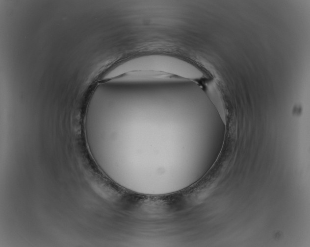 X0000092310403200710121502