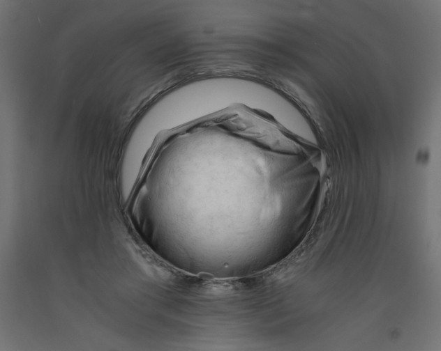 X0000092310405200710121502