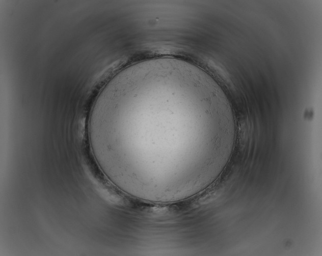 X0000092310406200710121502