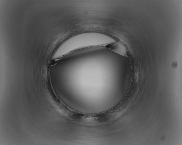 X0000092310407200710121502
