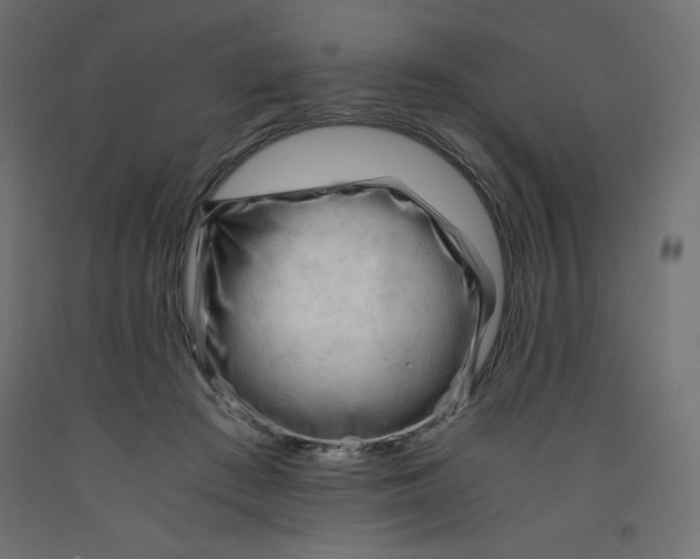 X0000092310409200710121502