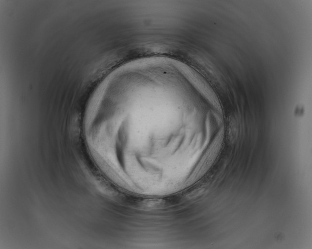 X0000092310410200710121502