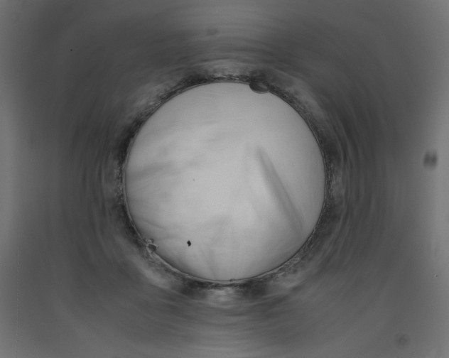 X0000092310411200710121502