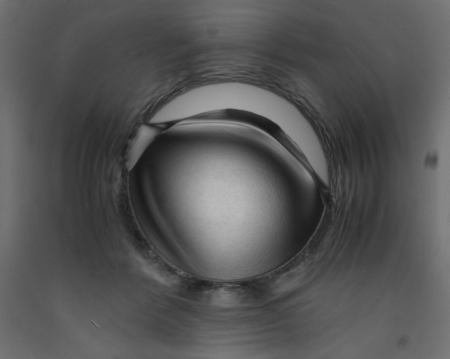 X0000092310412200710121502