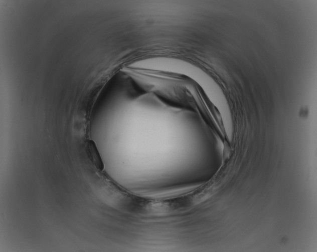 X0000092310413200710121502