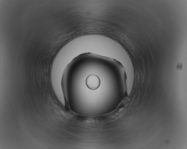 X0000092310416200710121502