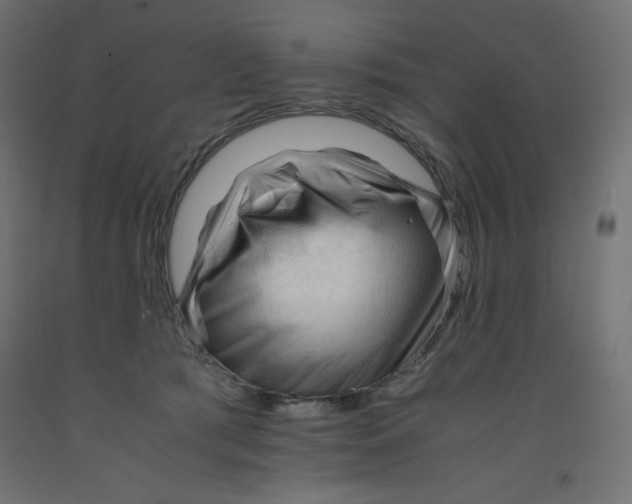X0000092310417200710121502