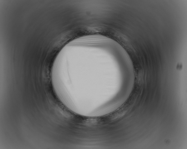 X0000092310418200710121502