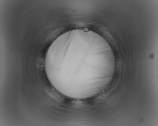 X0000092310419200710121502