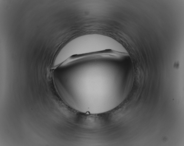 X0000092310420200710121502