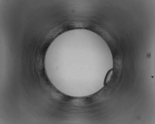 X0000092310422200710121502