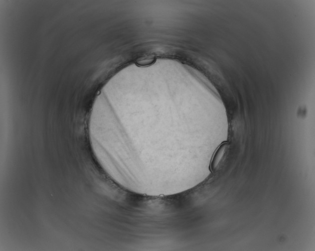 X0000092310423200710121502