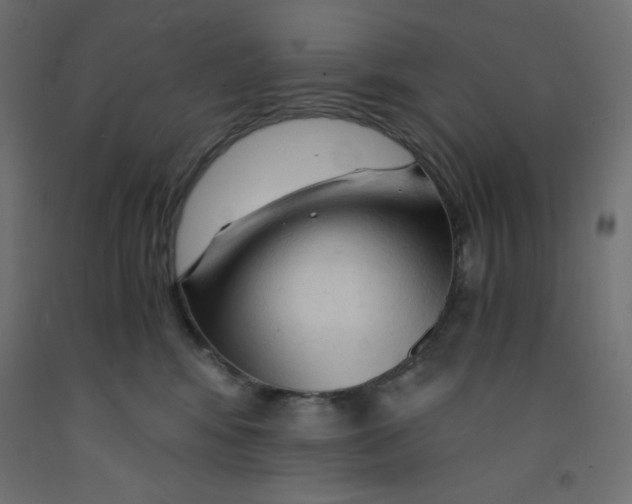 X0000092310424200710121502