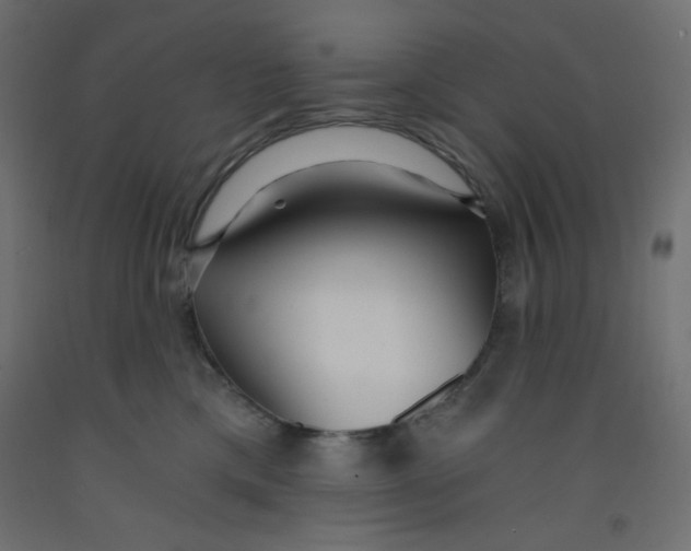 X0000092310425200710121502
