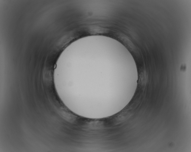 X0000092310426200710121502