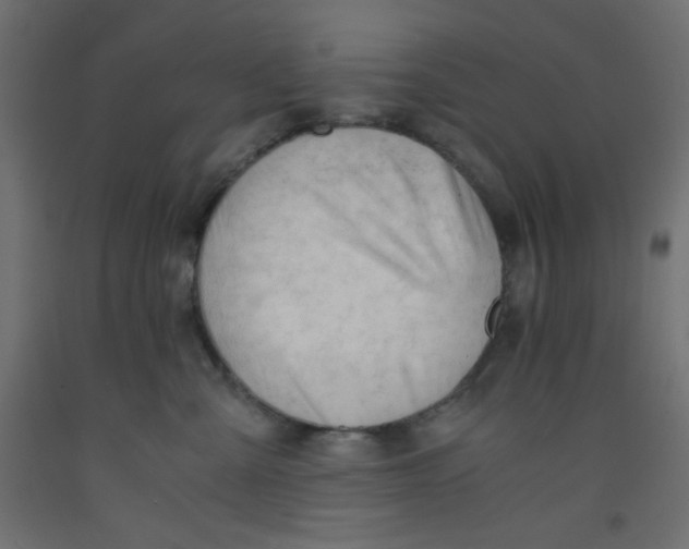 X0000092310427200710121502