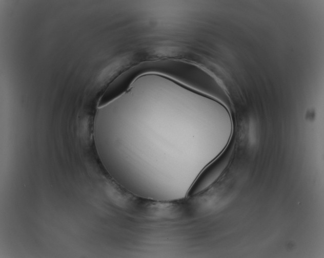 X0000092310428200710121502