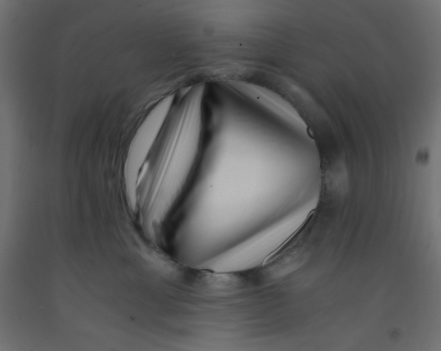 X0000092310429200710121502