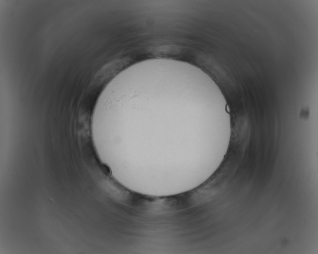 X0000092310430200710121502