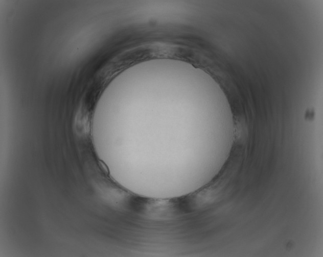 X0000092310431200710121502