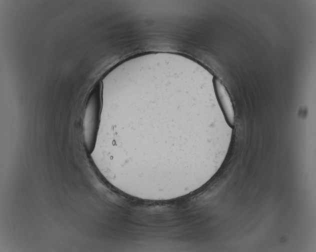 X0000092310433200710121501