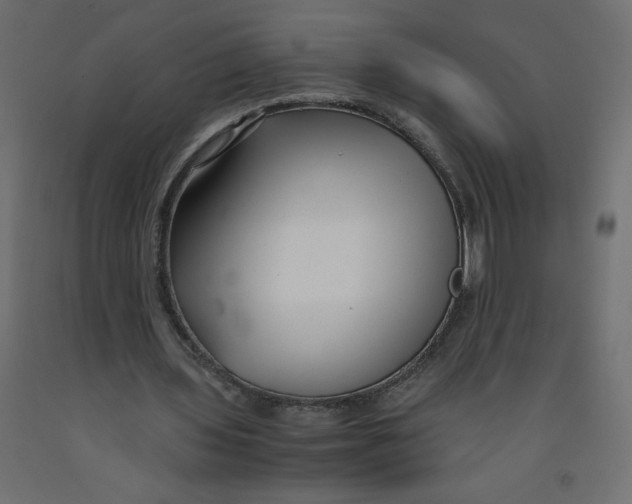 X0000092310435200710121501