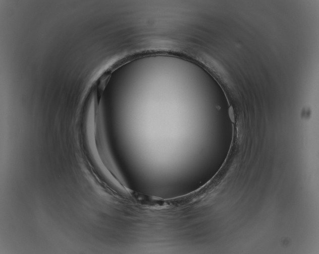X0000092310436200710121501